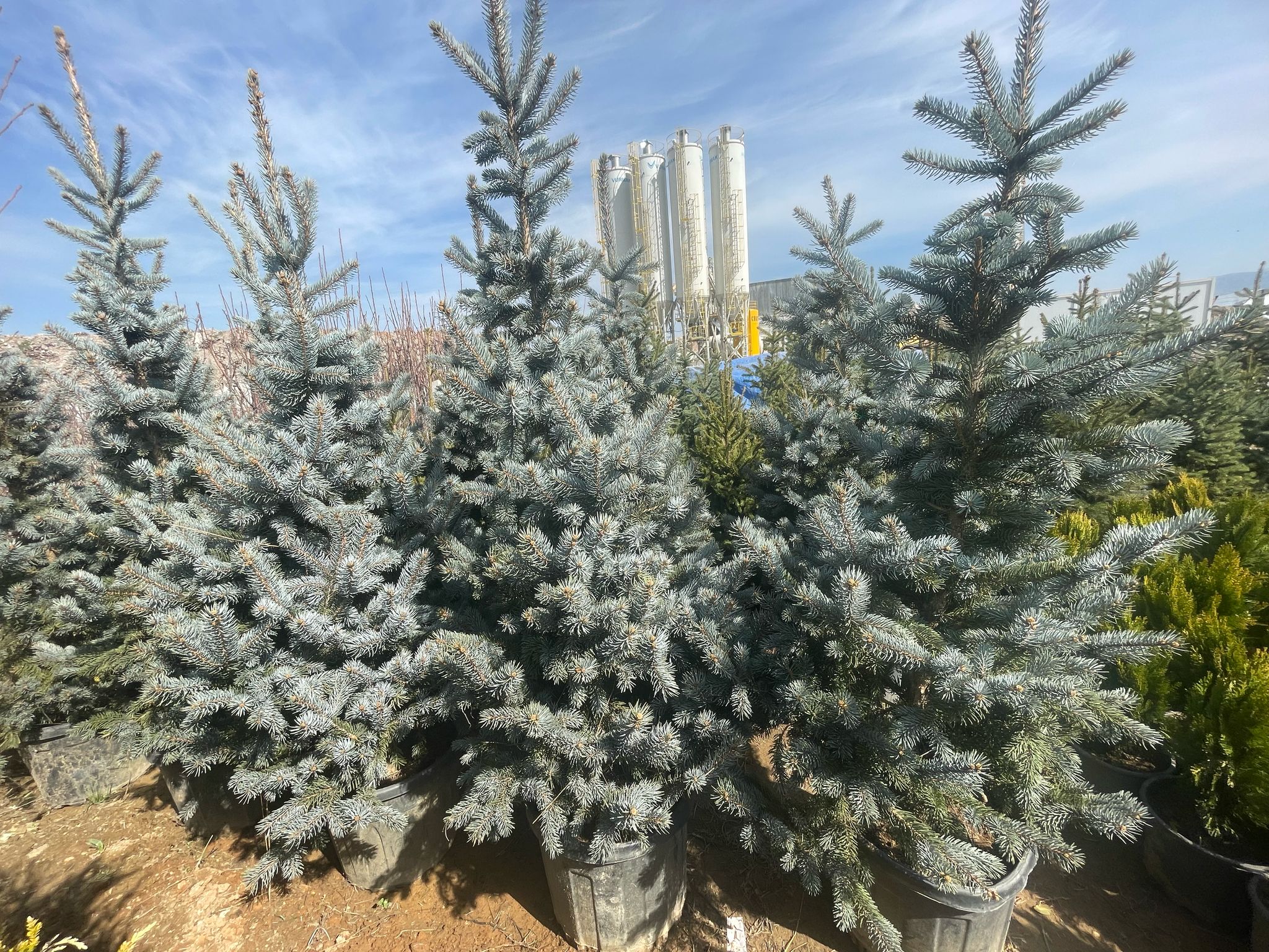 Sakarya cnc torna freze