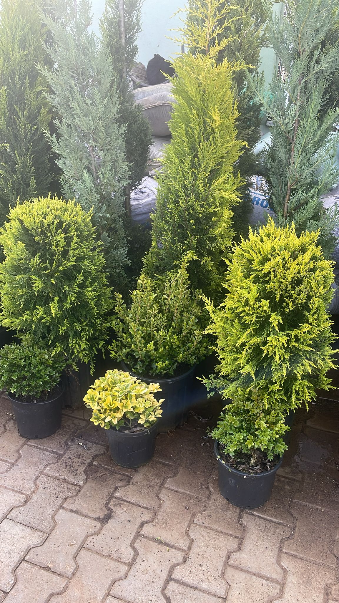 Sakarya cnc torna freze