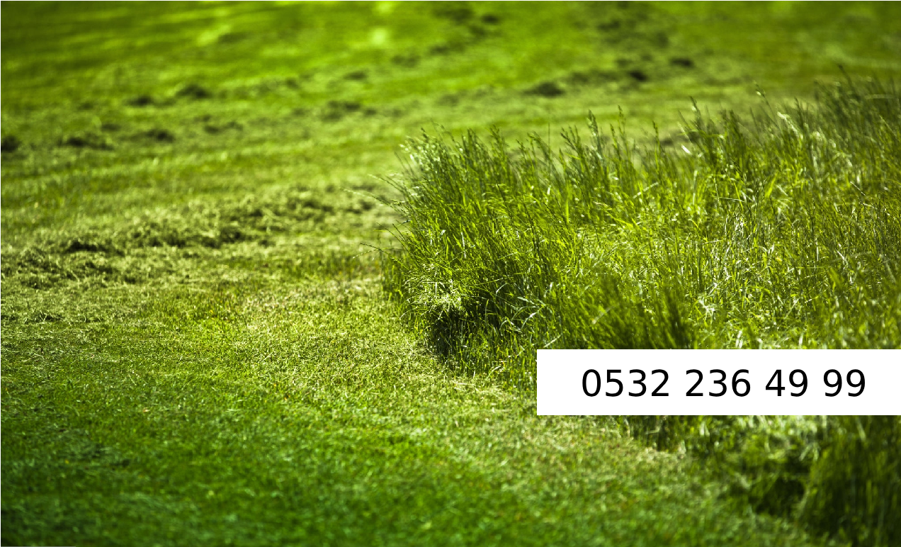 malatya peyzaj firması